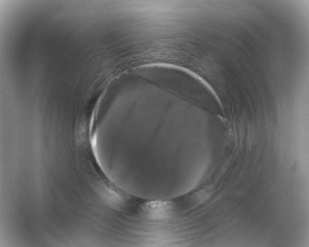 X0000065990526200603242008