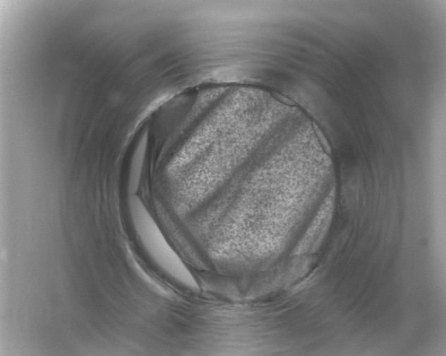 X0000065990530200603242008