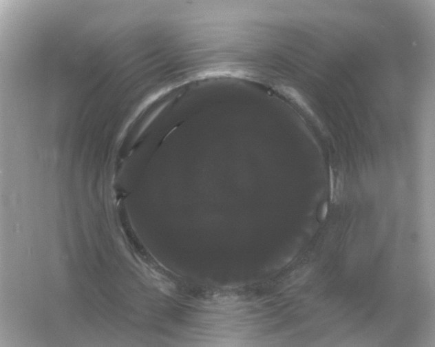 X0000065990531200603242008