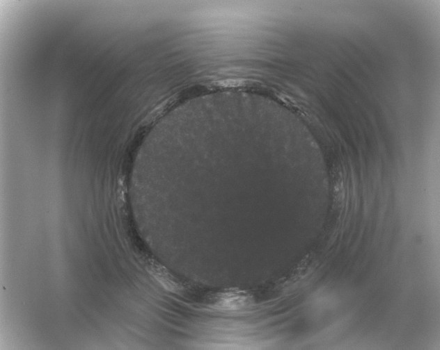 X0000065990555200603242008