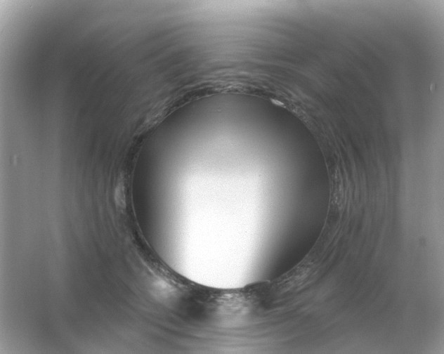 X0000065990562200603242008