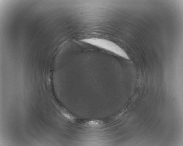 X0000065990566200603242008