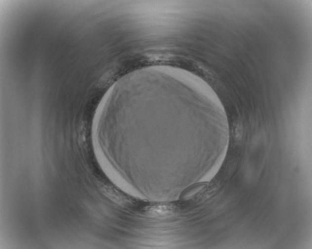 X0000065990567200603242008