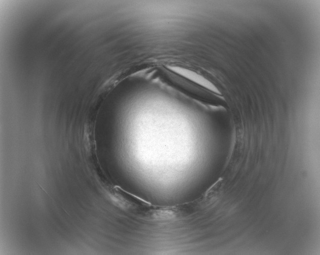 X0000065990572200603242008