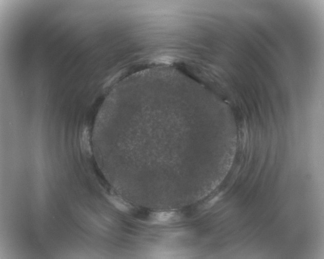 X0000065990575200603242008