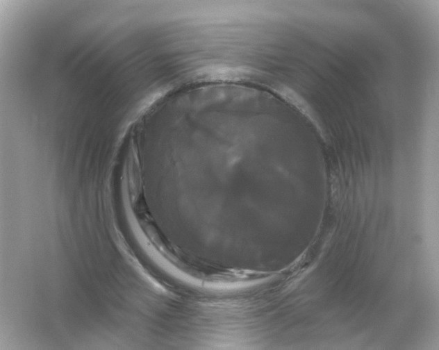 X0000065990581200603242008