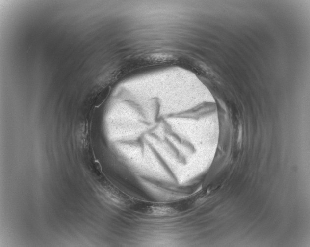 X0000065990605200603242007