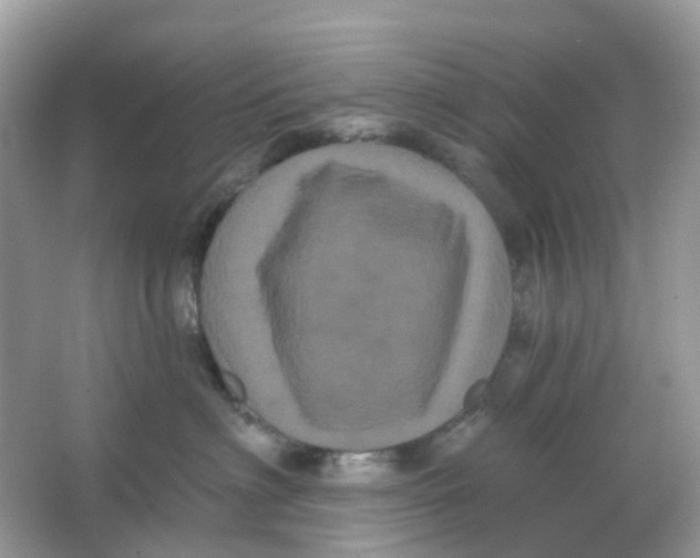 X0000065990622200603242007