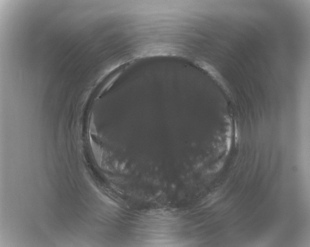 X0000065990627200603242006