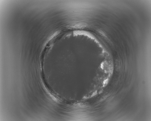 X0000065990634200603242006