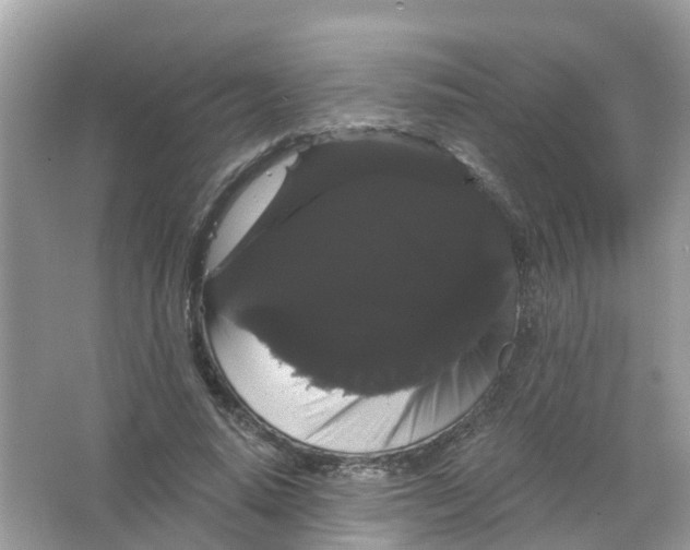 X0000065990640200603242006