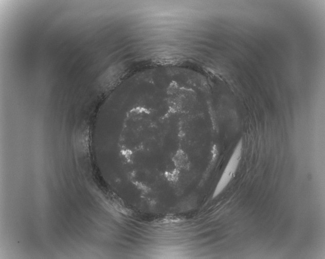 X0000065990647200603242006