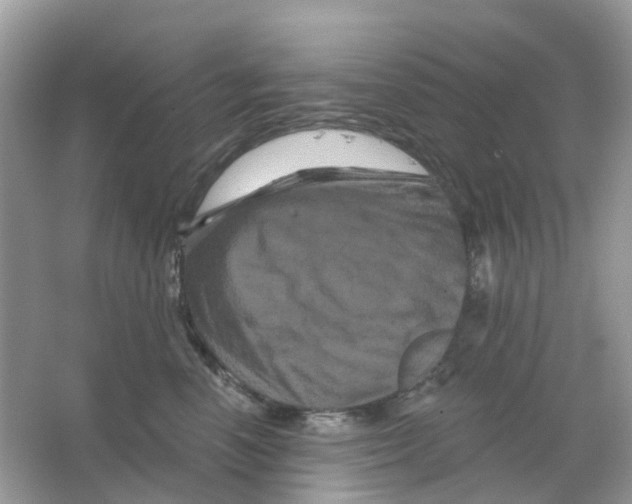 X0000065990666200603242007