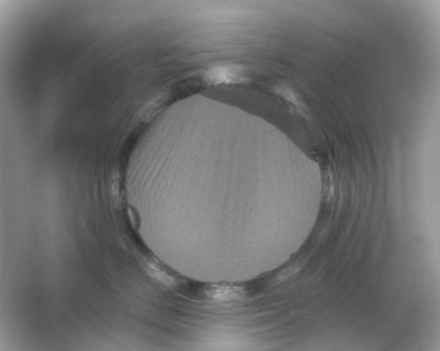X0000065990670200603242007