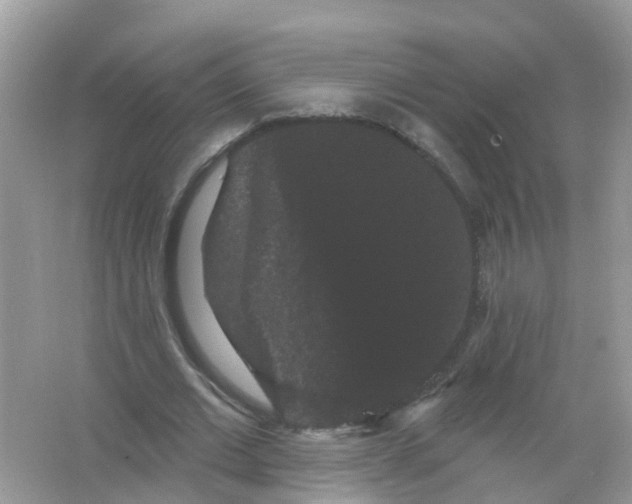 X0000065990677200603242006