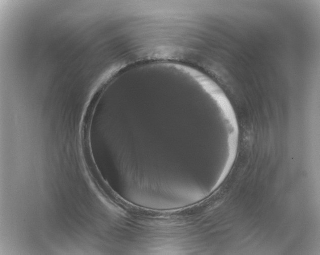 X0000065990678200603242006