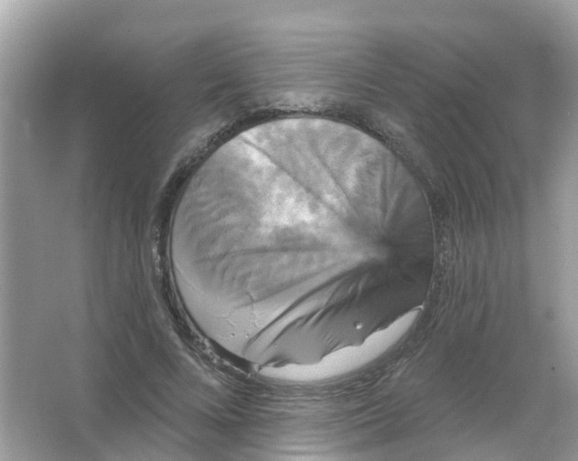X0000065990688200603242006