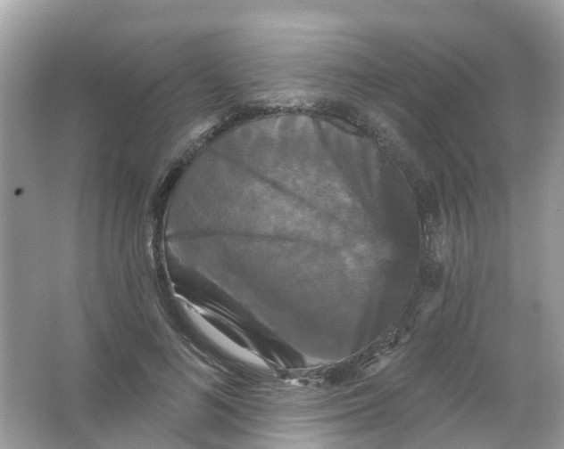X0000065990692200603242006