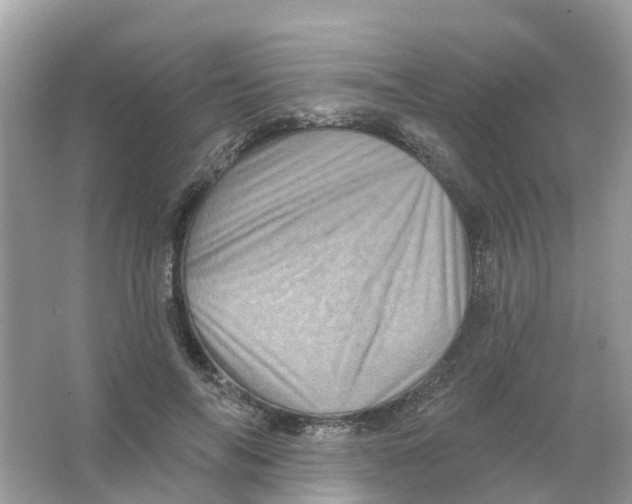 X0000065990694200603242006