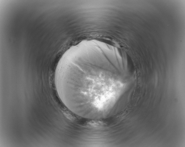 X0000065990712200603242005