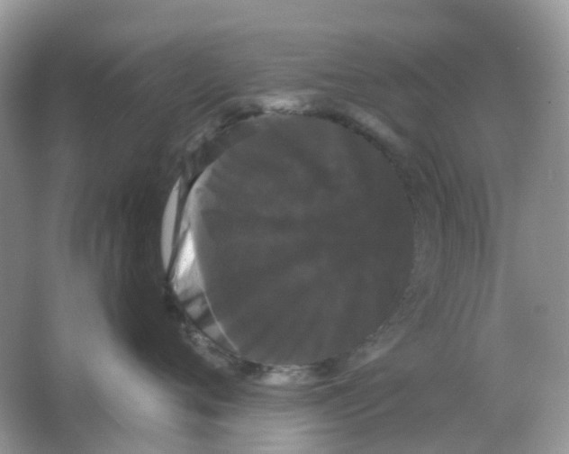 X0000065990720200603242005