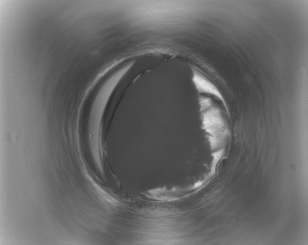 X0000065990722200603242004