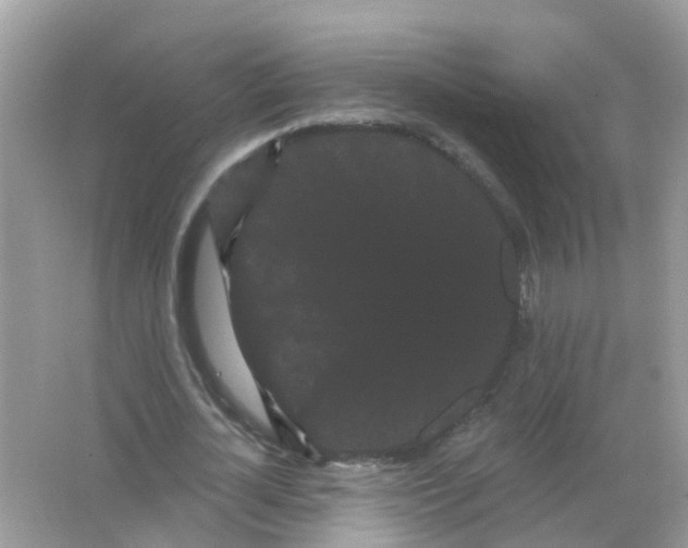 X0000065990724200603242004