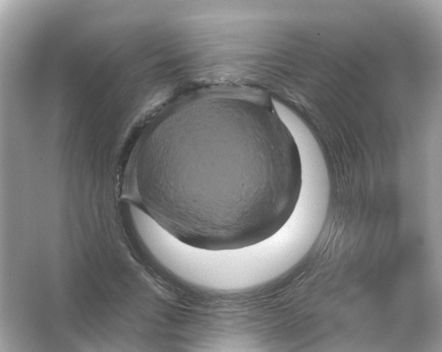X0000065990735200603242005