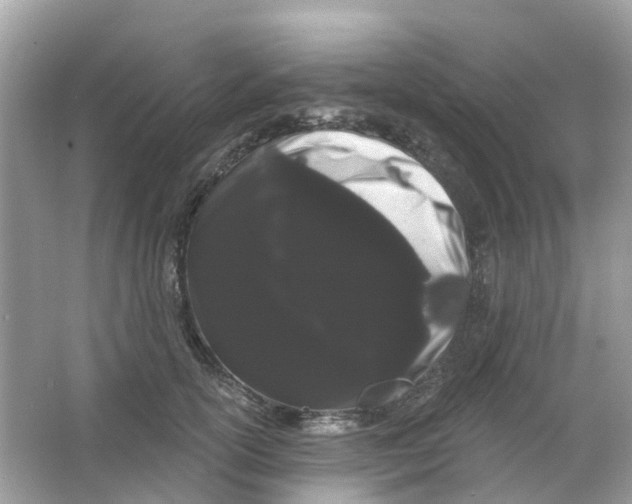 X0000065990754200603242005