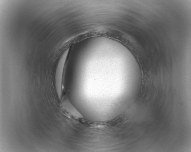 X0000065990773200603242004