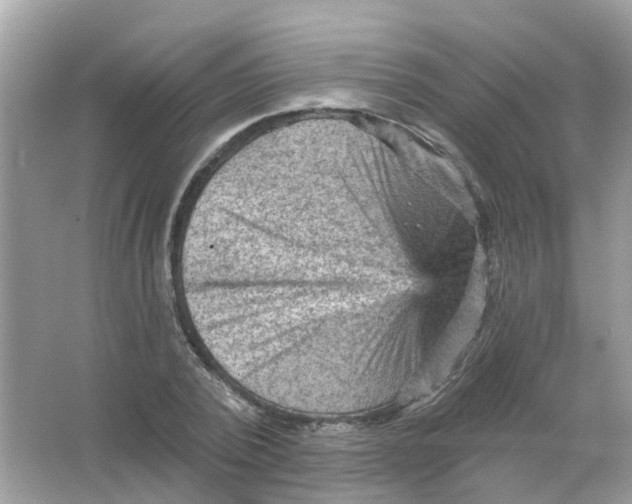X0000065990784200603242004