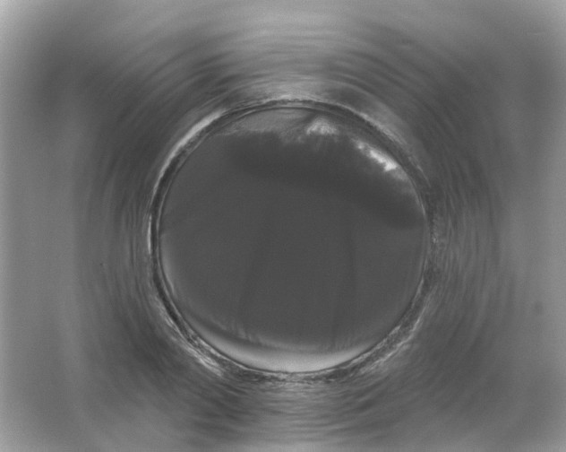X0000065990790200603242004