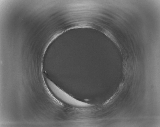 X0000065990797200603242004
