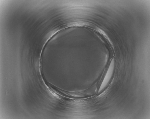 X0000065990802200603242004