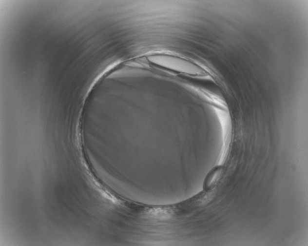 X0000065990806200603242004