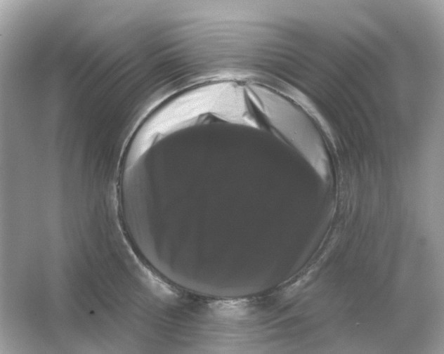 X0000065990810200603242004