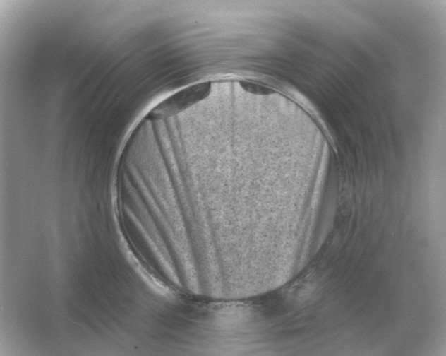 X0000065990811200603242004