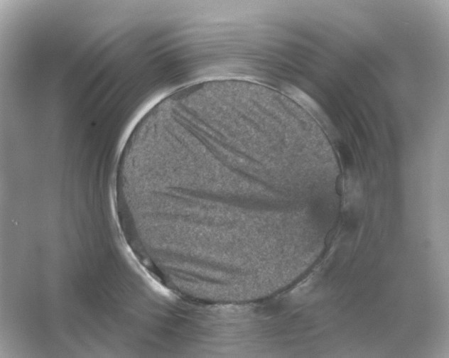 X0000065990812200603242004