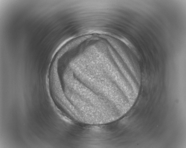 X0000065990814200603242004