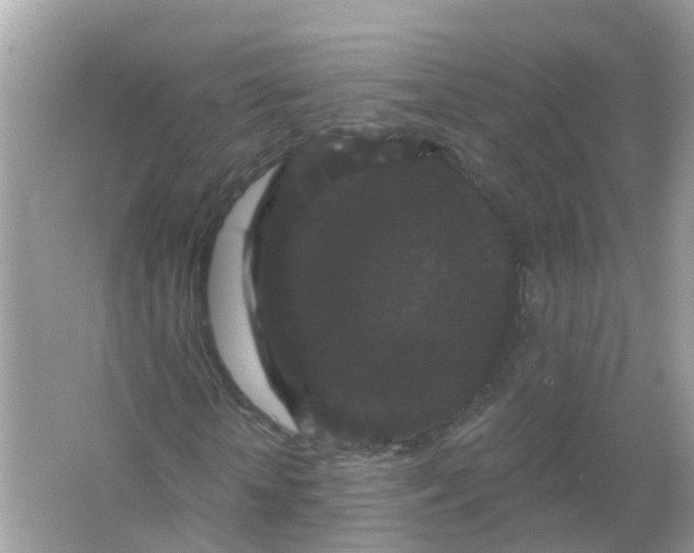 X0000065990818200603242003