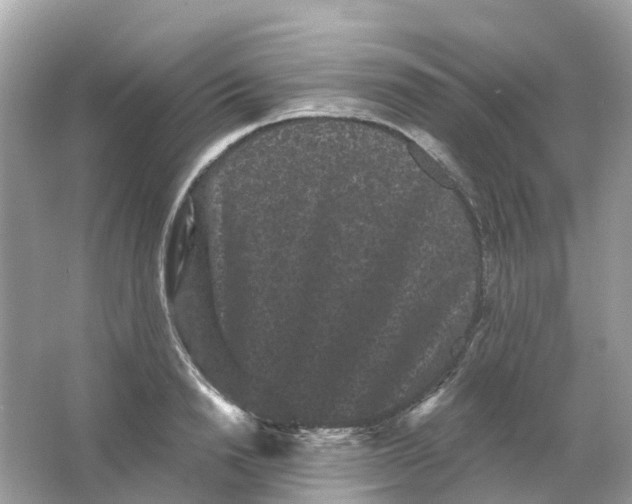 X0000065990846200603242003