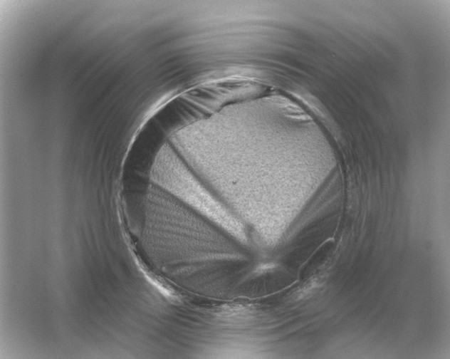 X0000065990850200603242003