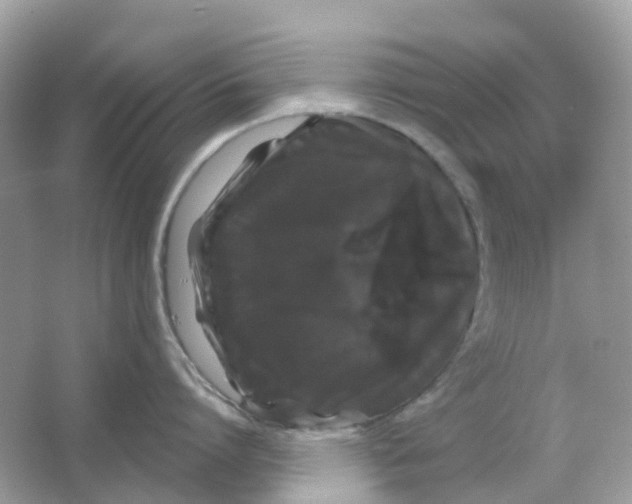 X0000065990864200603242004