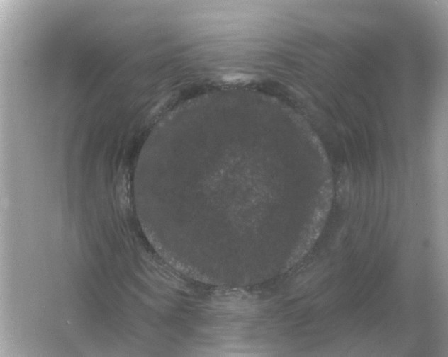 X0000065990866200603242003