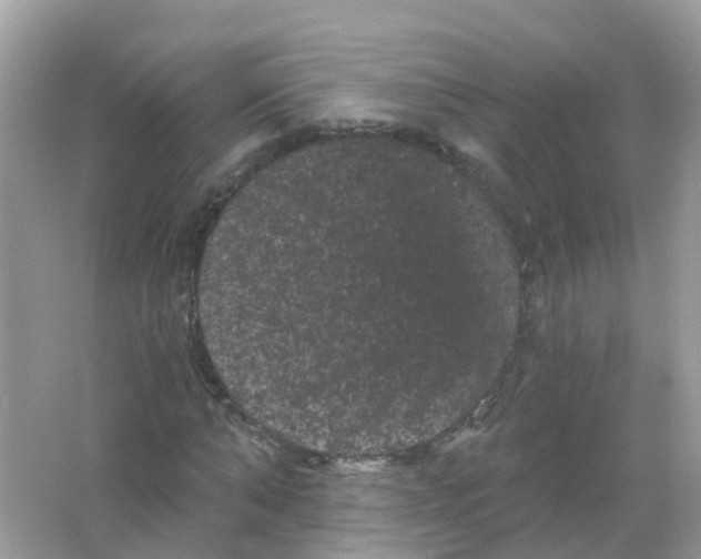 X0000065990870200603242003