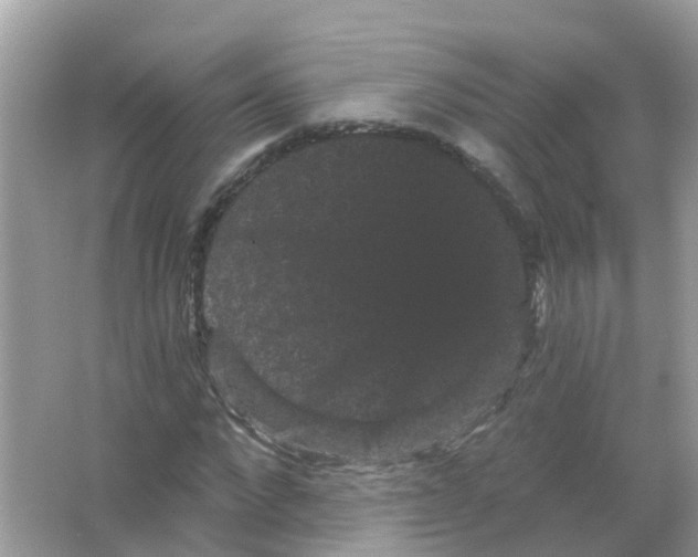 X0000065990872200603242003