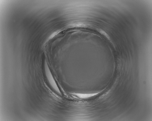 X0000065990922200603242001