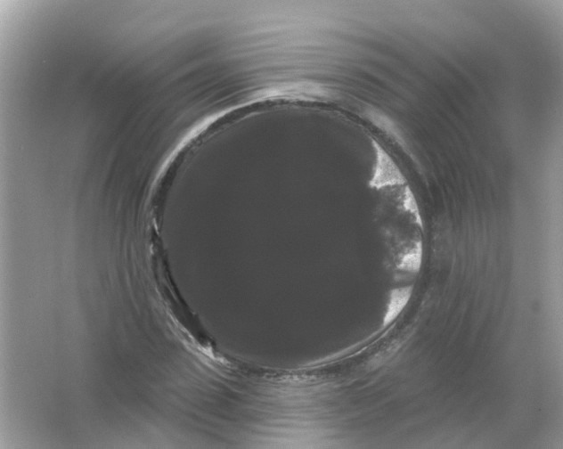 X0000065990923200603242001