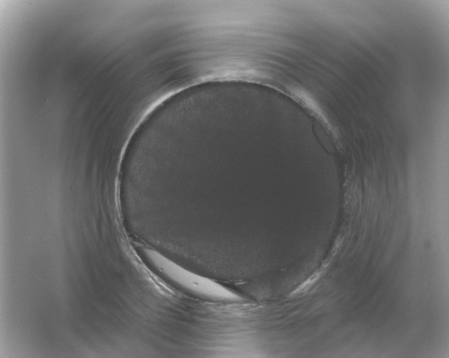 X0000065990932200603242001