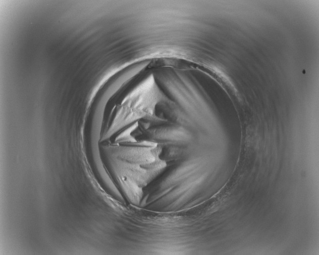X0000065990936200603242002